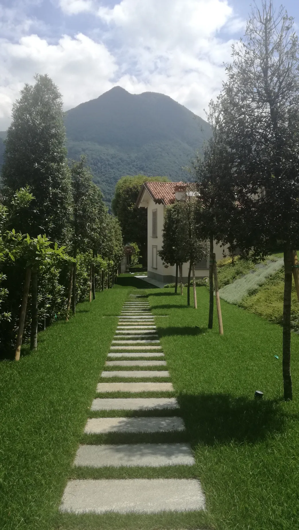 Villa Coccini — documentazione tecnica e fotografica, immagine 4 di 10